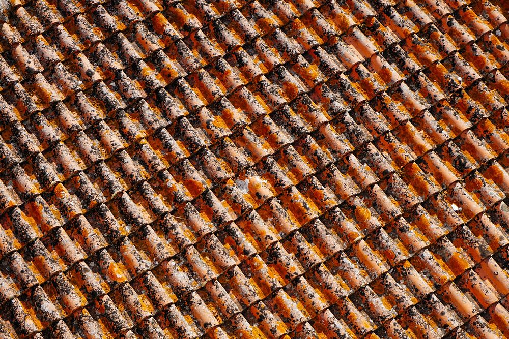 Old terracotta clay tile in vertical rows on a house roof. Original public domain image from Wikimedia Commons