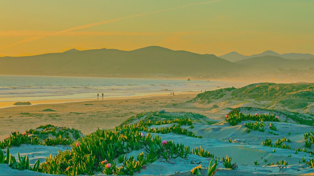 Beach, plants, summer, sandy, mountains. Original public domain image from Wikimedia Commons