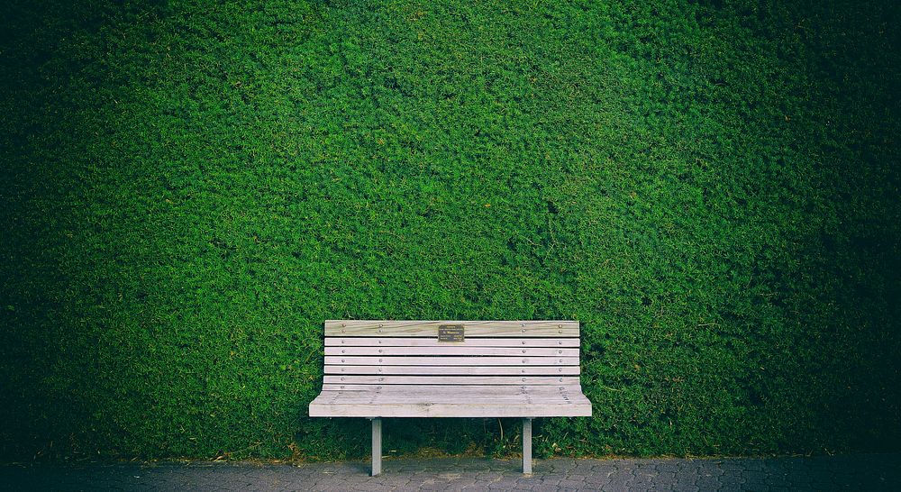 A bench near a green hedge in Hamilton Gardens. Original public domain image from Wikimedia Commons