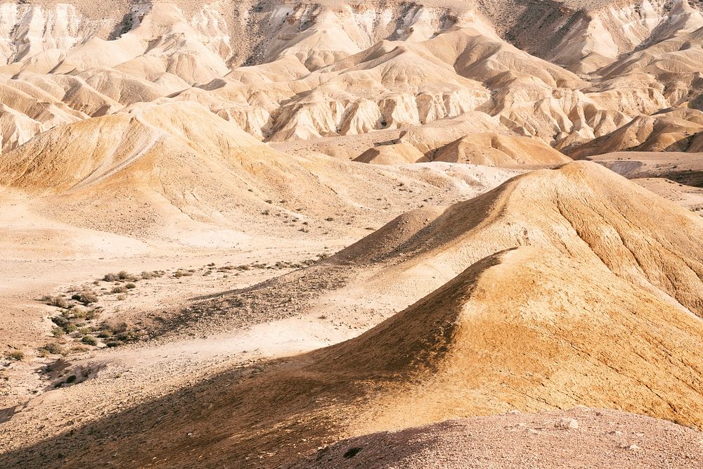 Arid sand dunes form peaks in the desert of Yeruham. Original public domain image from Wikimedia Commons