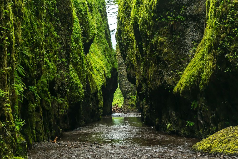 A river flanked by large rocky formations covered in bright green moss. Original public domain image from Wikimedia Commons
