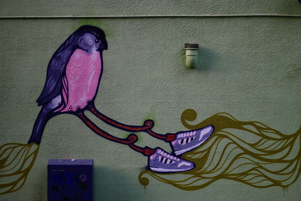 Bird in purple sneakers mural, Teesside University, Tees Valley, United Kingdom. Original public domain image from Wikimedia…