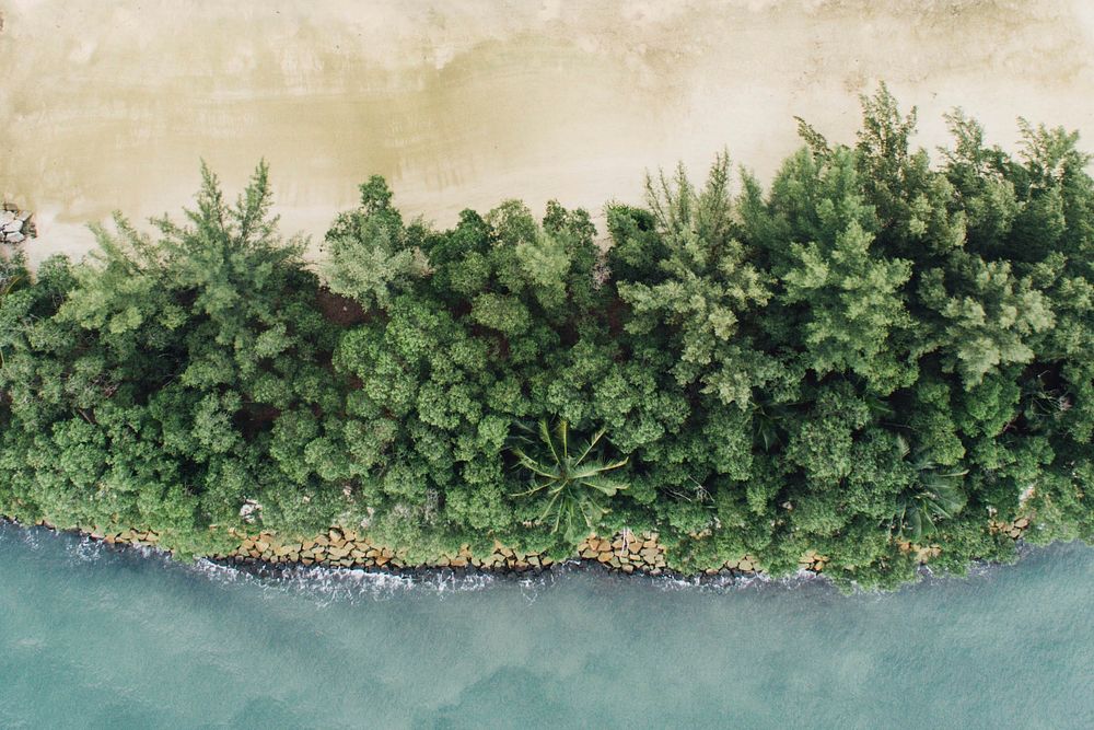 Birds eye view of the beach. Original public domain image from Wikimedia Commons