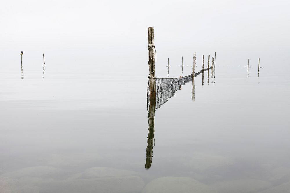 Reflections of wooden posts in clear waters on a cloudy day. Original public domain image from Wikimedia Commons
