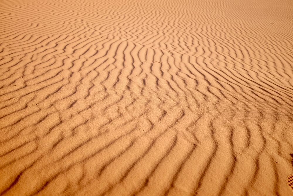 Wind forms ripple patterns in the sand of the Sahara Desert. Original public domain image from Wikimedia Commons