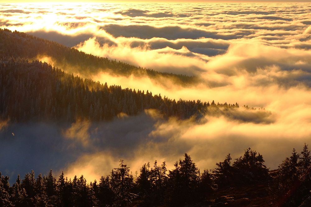 Forested hills rising up above a sea of clouds. Original public domain image from Wikimedia Commons