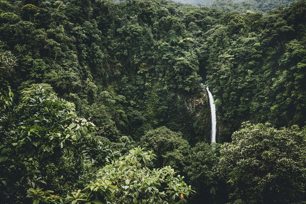 Beautiful waterfall in Costa Rica. Original public domain image from Wikimedia Commons