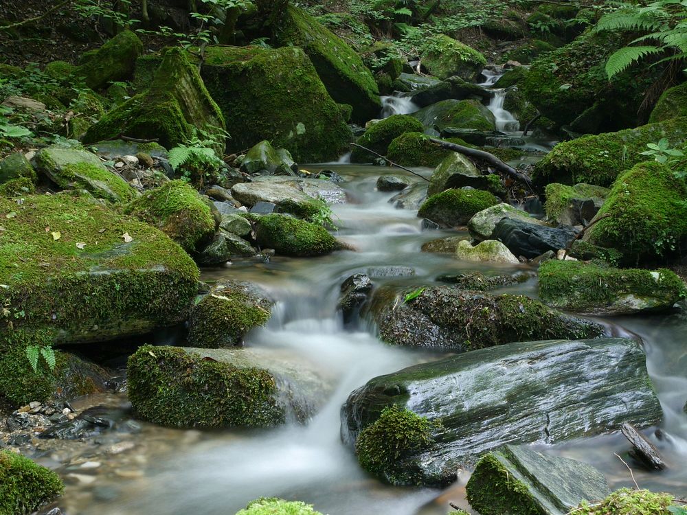 Water stream. Original public domain image from Wikimedia Commons