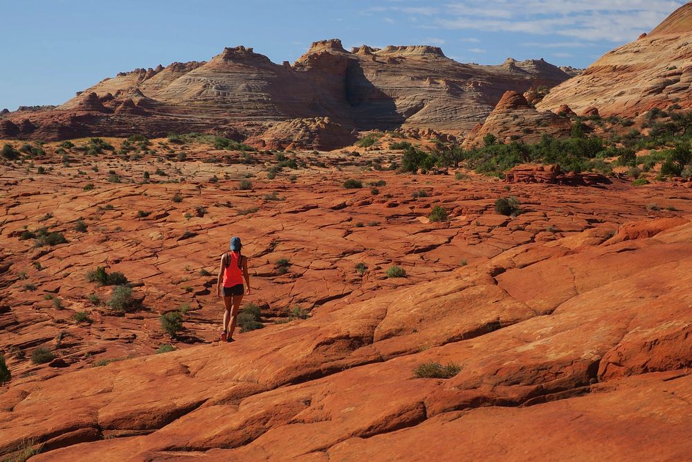 Hiker walks alone through rocky terrain of the Wave Trail desert. Original public domain image from Wikimedia Commons