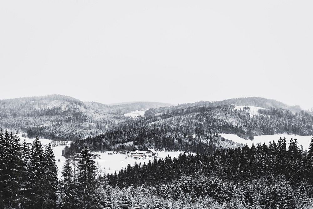 Dense forest trees in the snow with a mountains done in black and white. Original public domain image from Wikimedia Commons