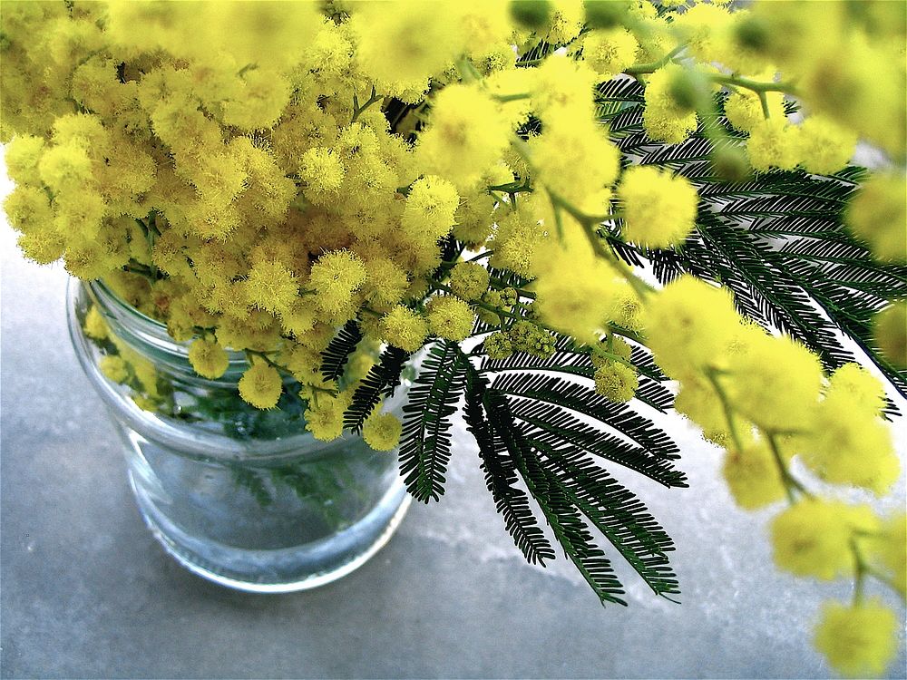 Close-up of a glass jar with rich yellow flowers. Original public domain image from Wikimedia Commons