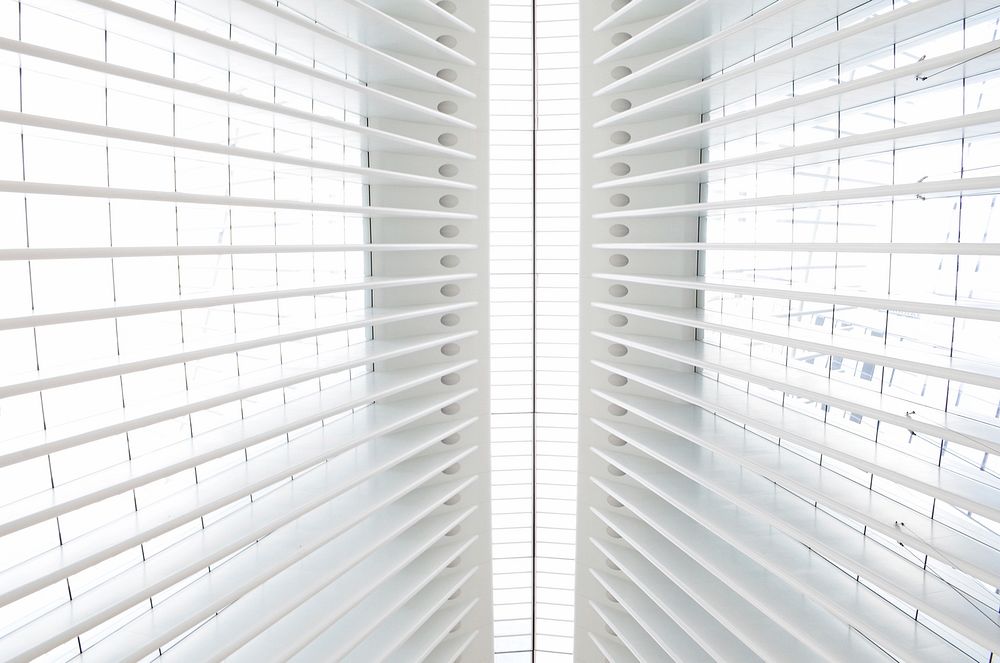 White ribs in the ceiling of the WTC transit hub. Original public domain image from Wikimedia Commons