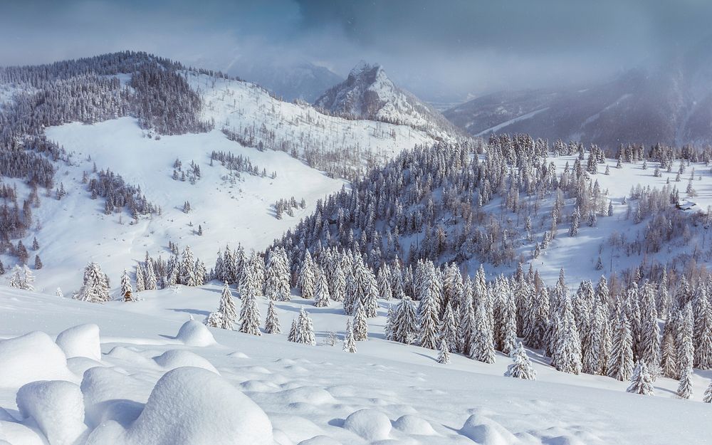 Postalm, Austria. Original public domain image from Wikimedia Commons