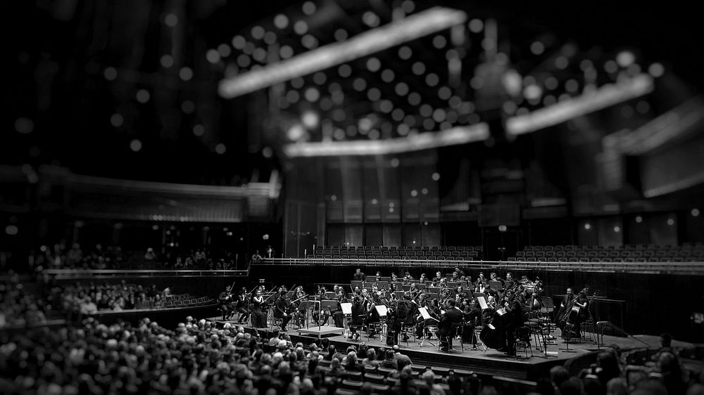 Orchestra in concert, Düsseldorf, Germany, 4 March 2017. Original public domain image from Wikimedia Commons