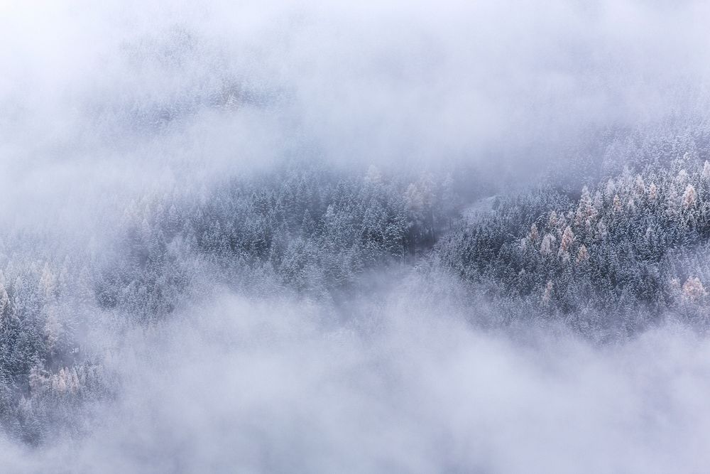 Fog shrouding a snow covered evergreen forest at Gemeinde Neukirchen am Großvenediger. Original public domain image from…