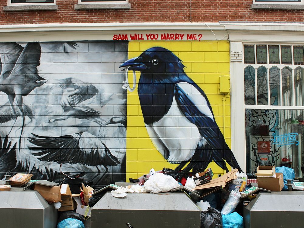 Unique graffiti art on street walls by piles of garbage. Original public domain image from Wikimedia Commons