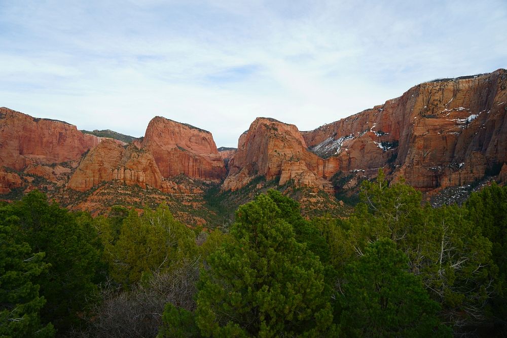 Green trees near red cliffs in Kolob Canyons. Original public domain image from Wikimedia Commons