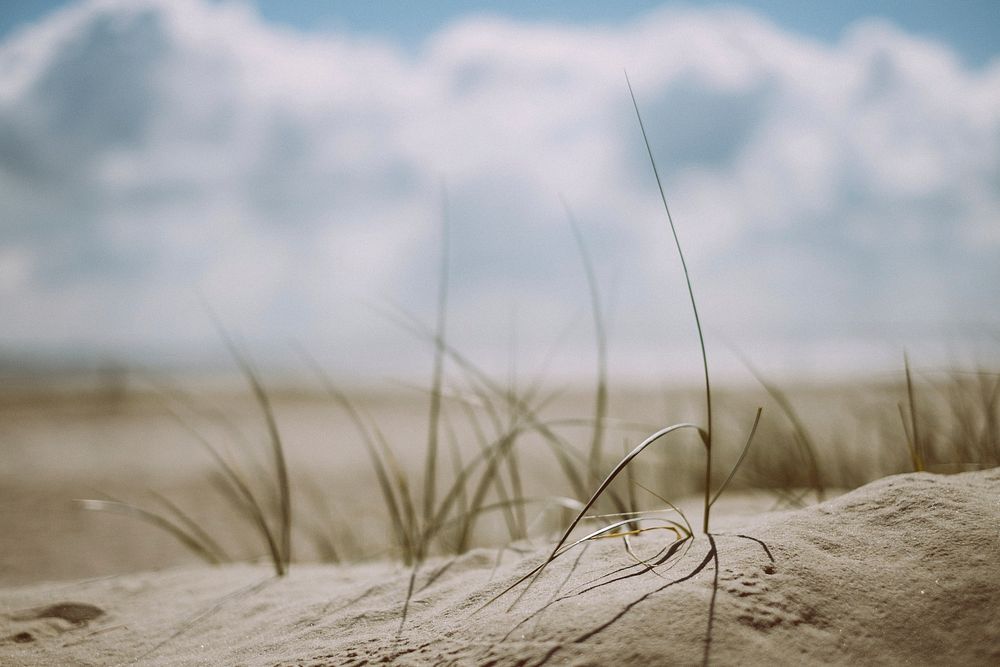 Langeoog, Germany. Original public domain image from Wikimedia Commons