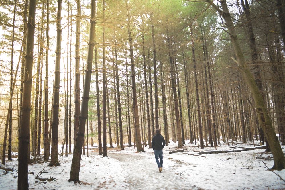 A lone man walking on a snowy path in a forest. Original public domain image from Wikimedia Commons
