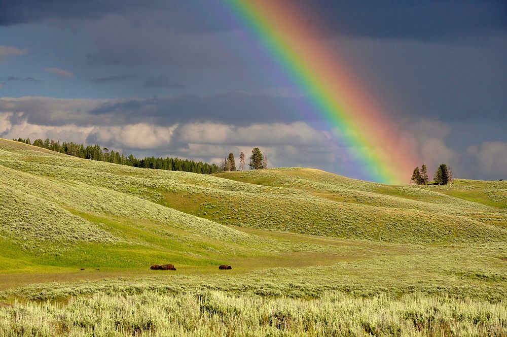 Rainbow near green grass ranges. Original public domain image from Wikimedia Commons