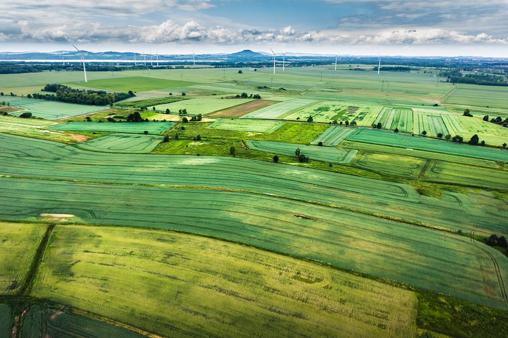 Green glass field. Original public domain image from Wikimedia Commons