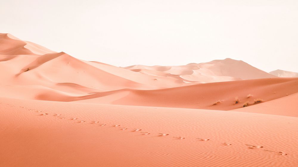 Footprints in the orange sand dunes of Erg Chebbi desert. Original public domain image from Wikimedia Commons