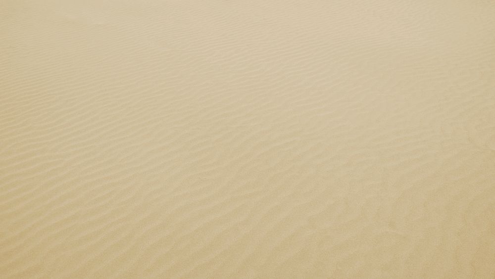 Sand background. Original public domain image from Wikimedia Commons