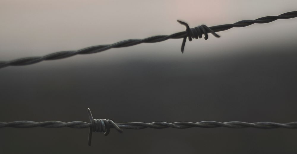 Barbed wire fence. Original public domain image from Wikimedia Commons