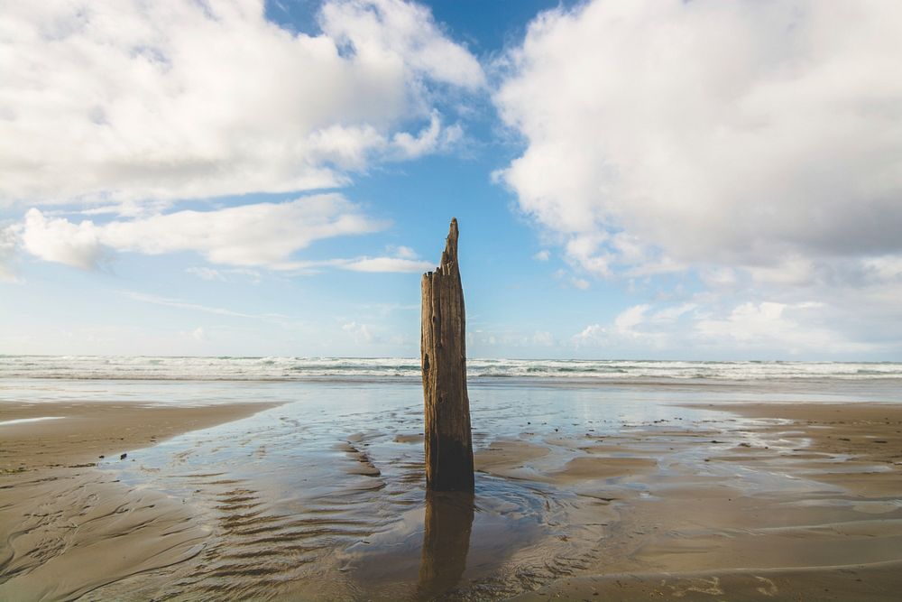 Piece of broken wooden pole on the wet sand beach. Original public domain image from Wikimedia Commons