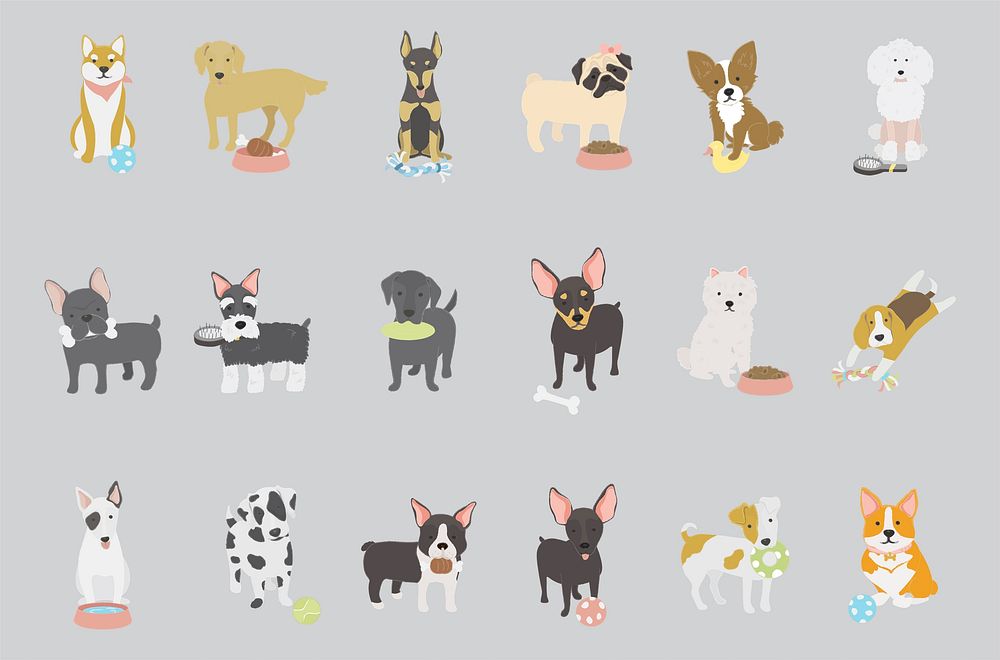 Dog breed collection vector