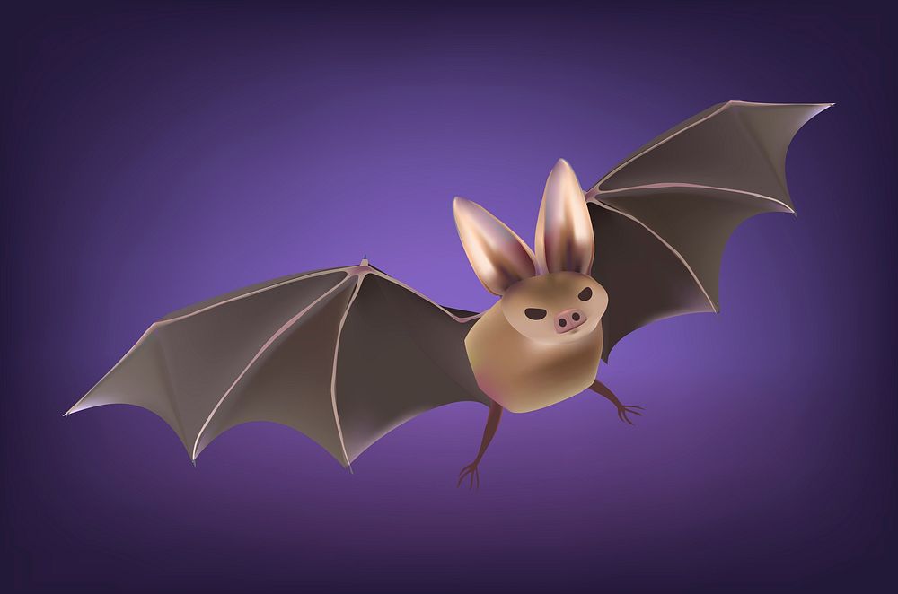 Illustration of a Halloween bat