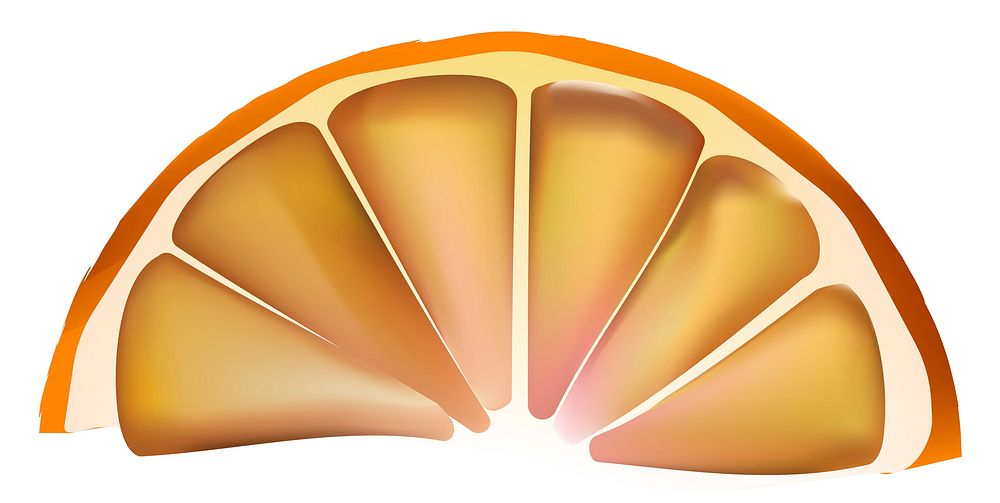 Illustration of dried orange for home decoration