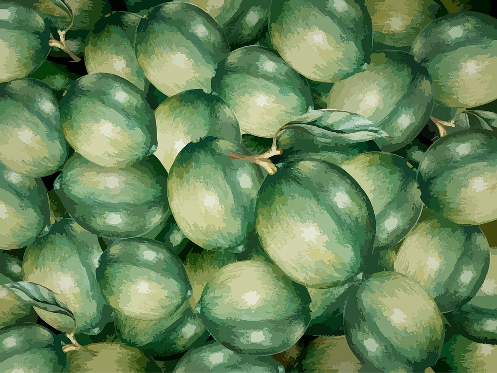 Illustration of green olives