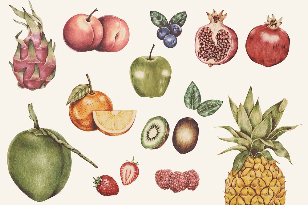 Illustration of tropical fruits watercolor style