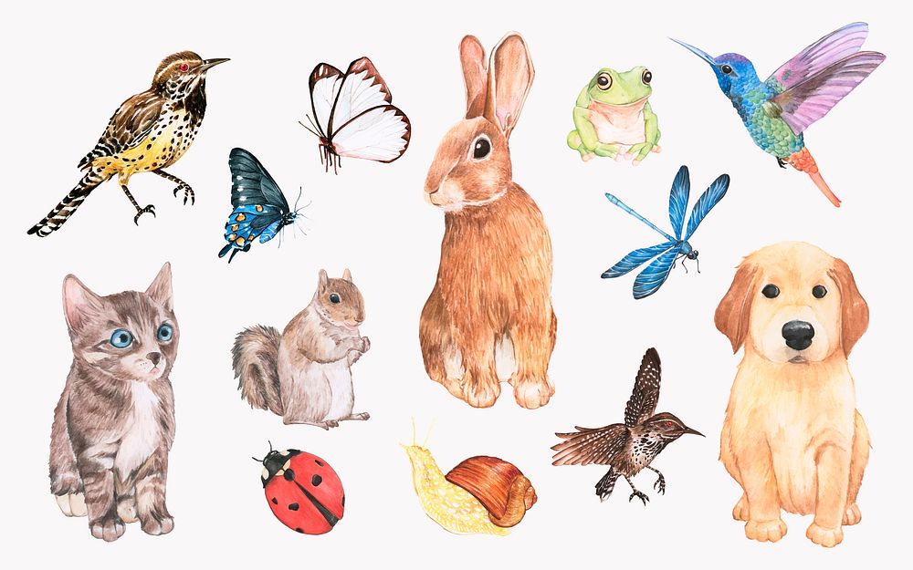 Collection of hand drawn animals