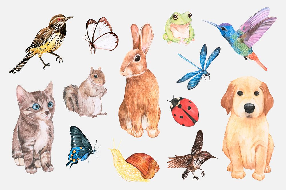 Cute watercolor animals and insects vector sticker set