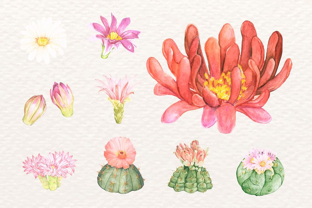 Hand drawn cactus flower psd sticker collection