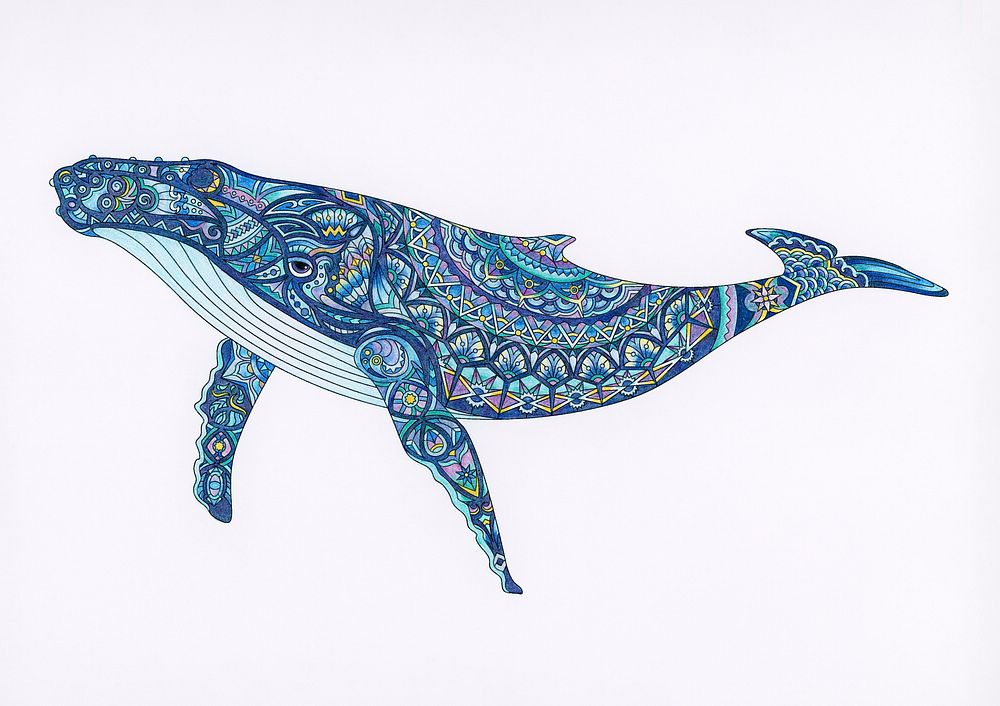 16+ Coloring Page Whale Background