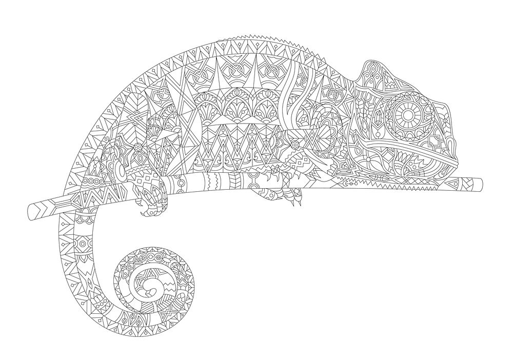 Coloring page of a chameleon