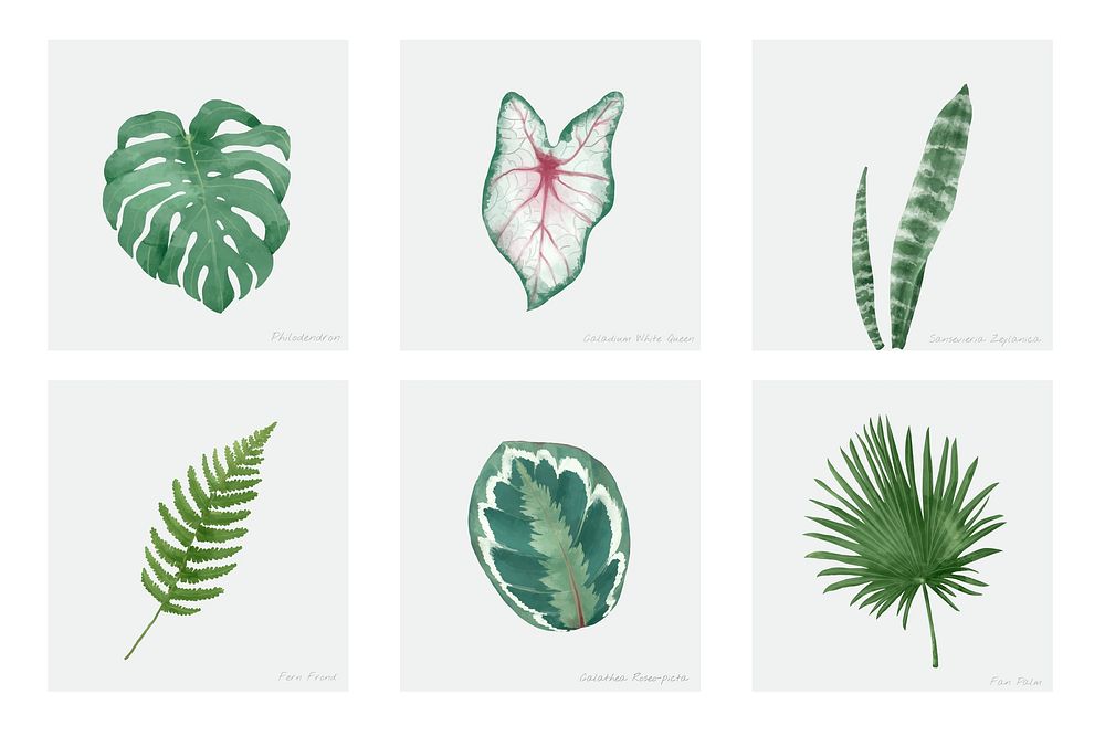 Collection of hand drawn plants isolated on white background