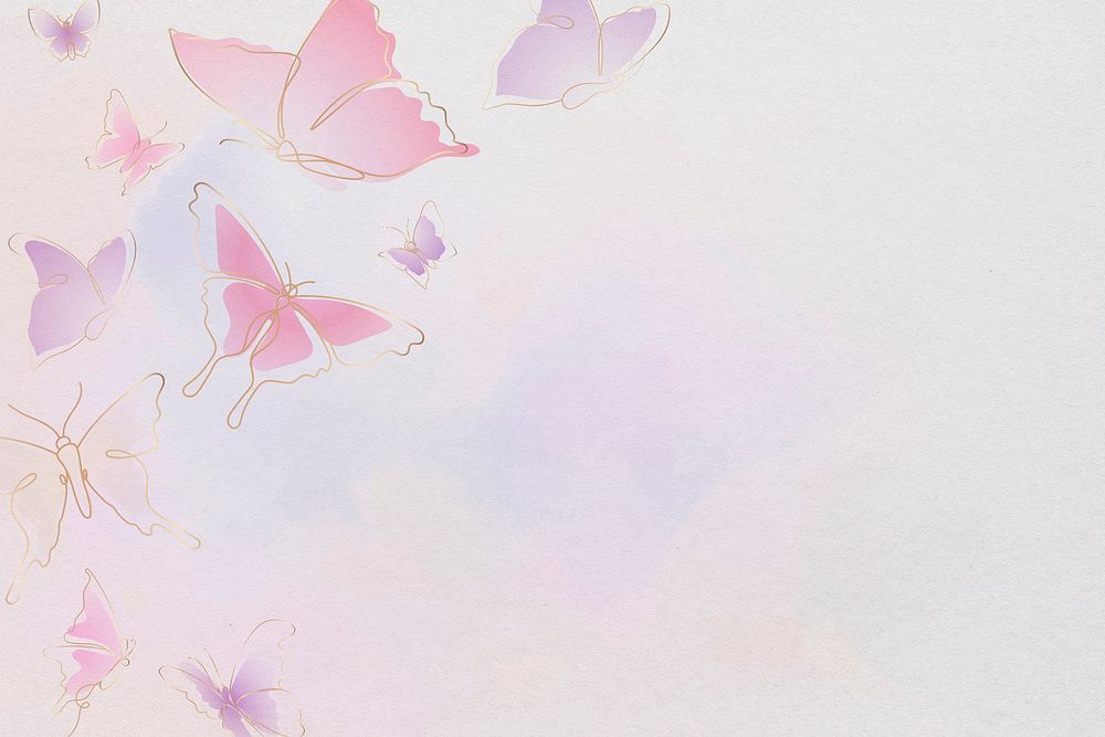 Feminine butterfly background, pink border, animal illustration