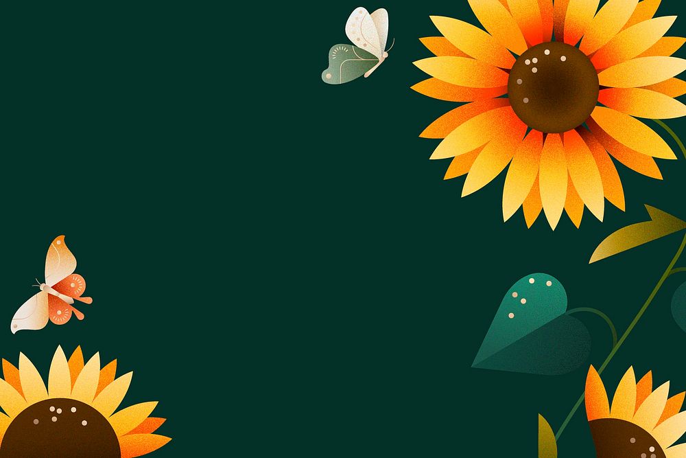 Sunflower nature graphic background, horizontal botanical borders