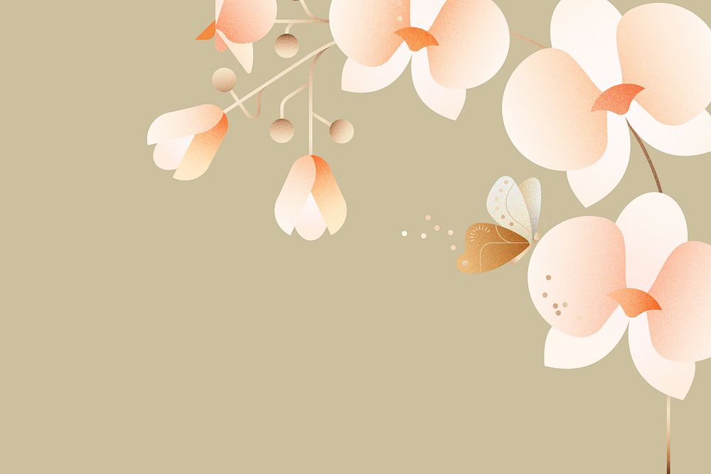 Blooming orchids background, floral border design vector