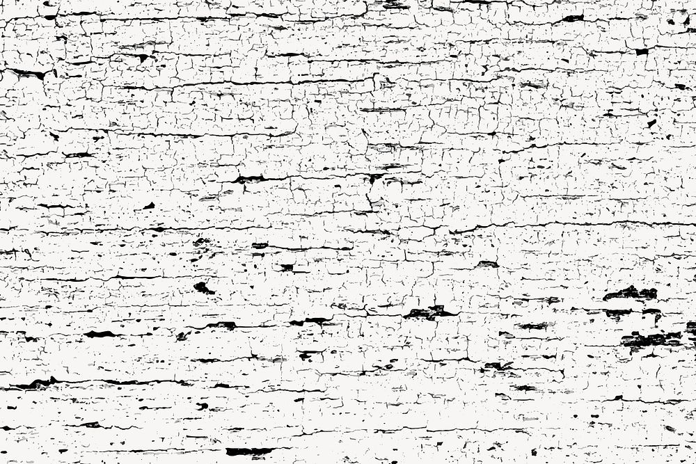 Cracked texture abstract background, black & white design vector