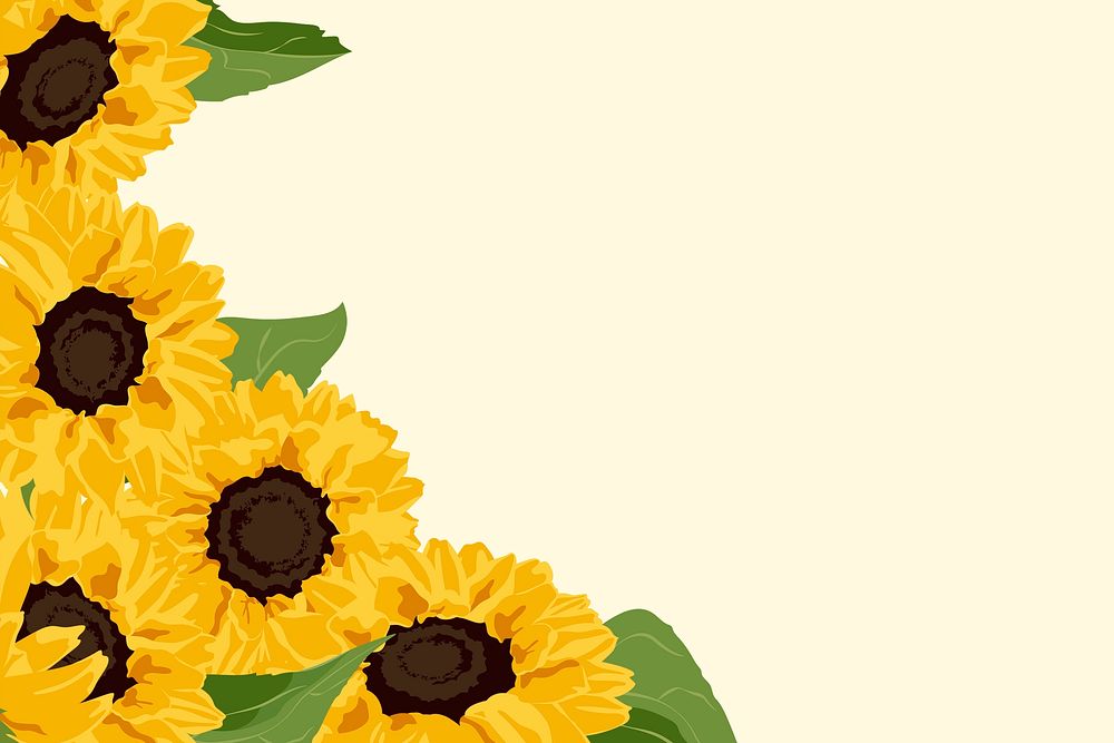 Yellow spring background, sunflower border vector
