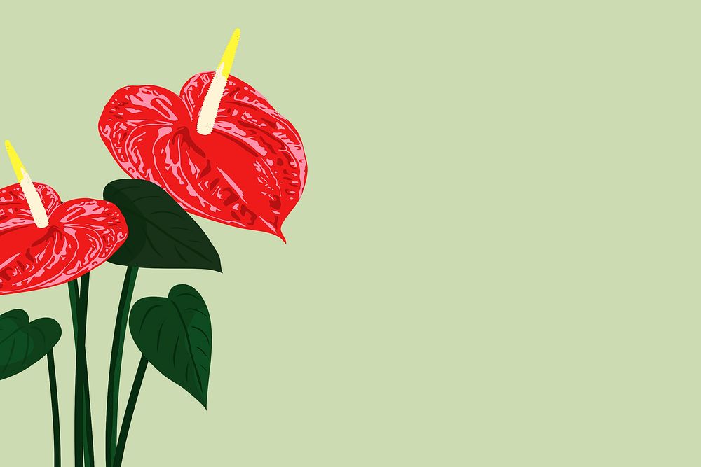 Green flower background, red anthurium, botanical illustration
