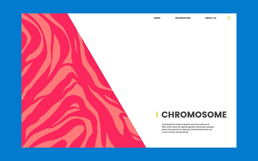 Chromosome educational science website design