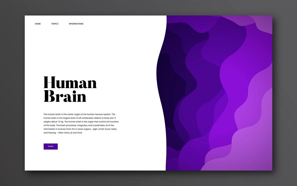 Human brain informational website graphic