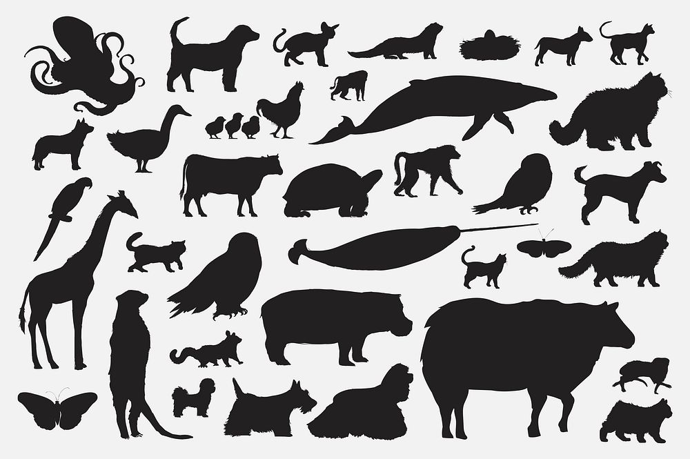 Illustration drawing style of animal collection