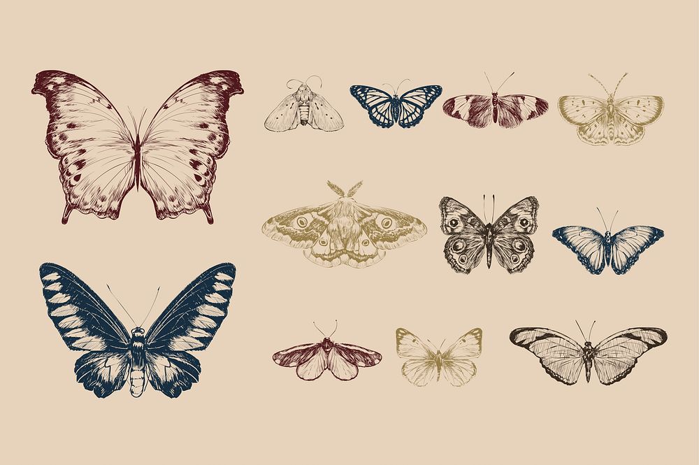 Illustration drawing style animal collection | Premium Vector - rawpixel